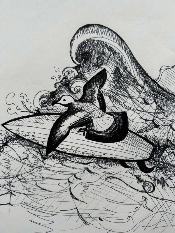 Surf Bird - Image 2